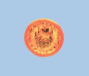 ��129 rear lamp (red, yellow, white)