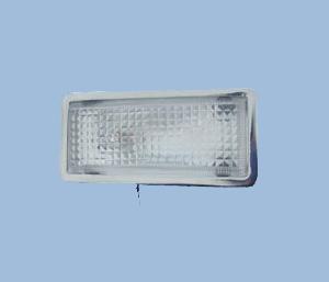 H010 inside the dome light (working lights)