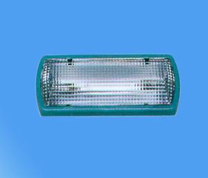 HYO63 within the dome light